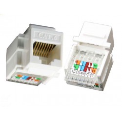 copy of RJ45 Modular Plug