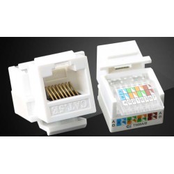 copy of RJ45 Modular Plug