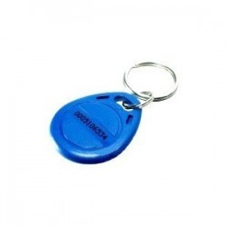 125KHz RFID Key Chain Tag...